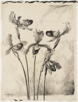 KK 010d
          <br/>
          Vijf orchideeën
          <br/>
          <em>Rees, Willem Karel (1880-1962)</em>